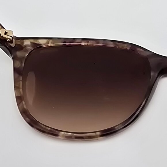 Coach HC8132 L109 528713 Confetti Brown Frame Brown Gradient Lens Sunglasses main image 11